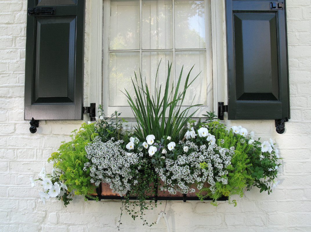 DIY Window Boxes
 Beautiful DIY Window Box Ideas with Curb Appeal The
