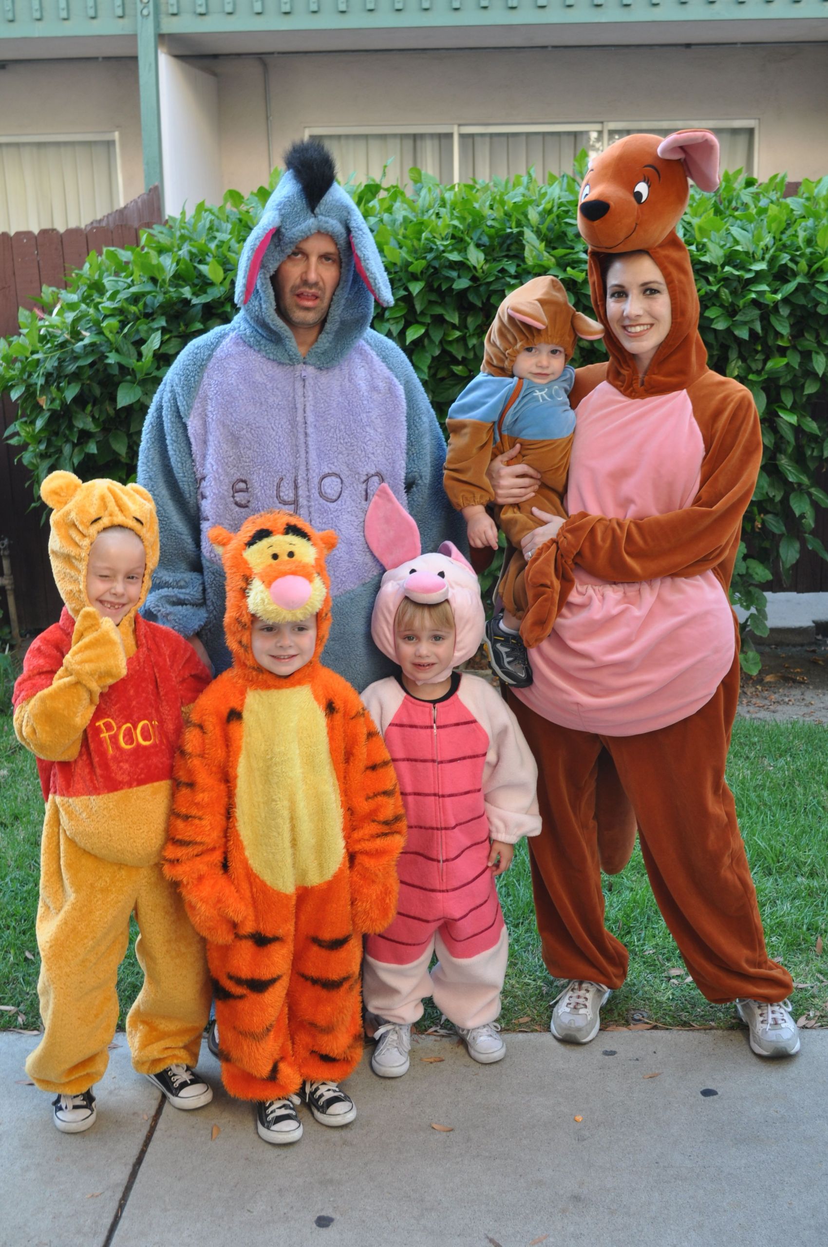 DIY Winnie The Pooh Costume
 Disney Winnie the Pooh Costumes Halloween Eeyore Piglet