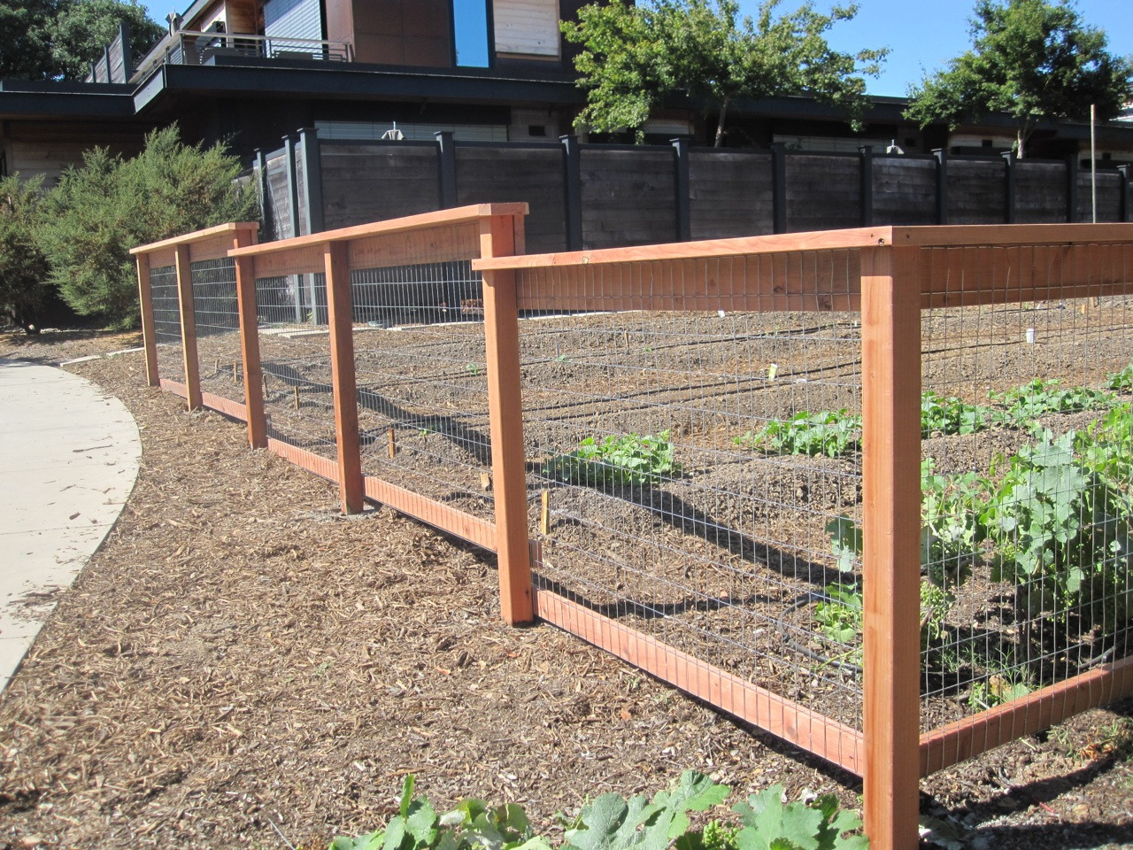 DIY Wood And Wire Fence
 2×4 WELDED WIRE Arbor Fence Inc
