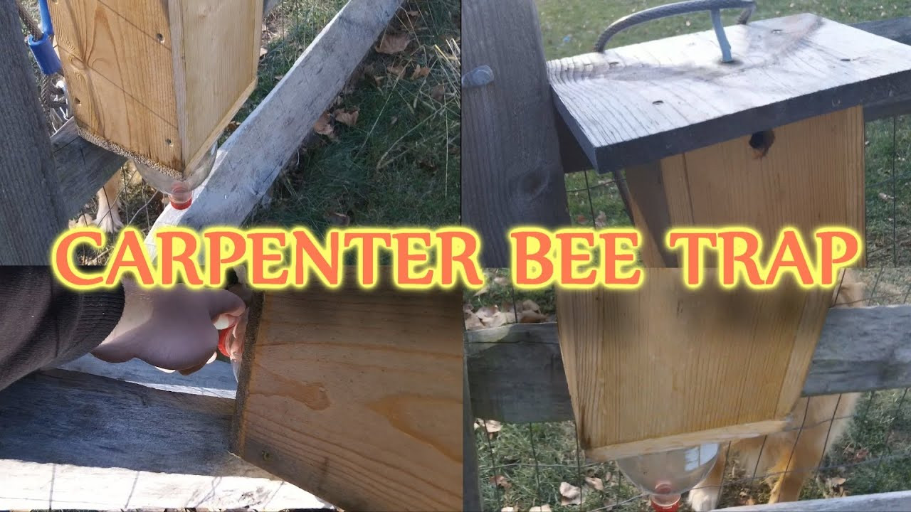 DIY Wood Bee Trap
 Homemade Carpenter Bee Trap