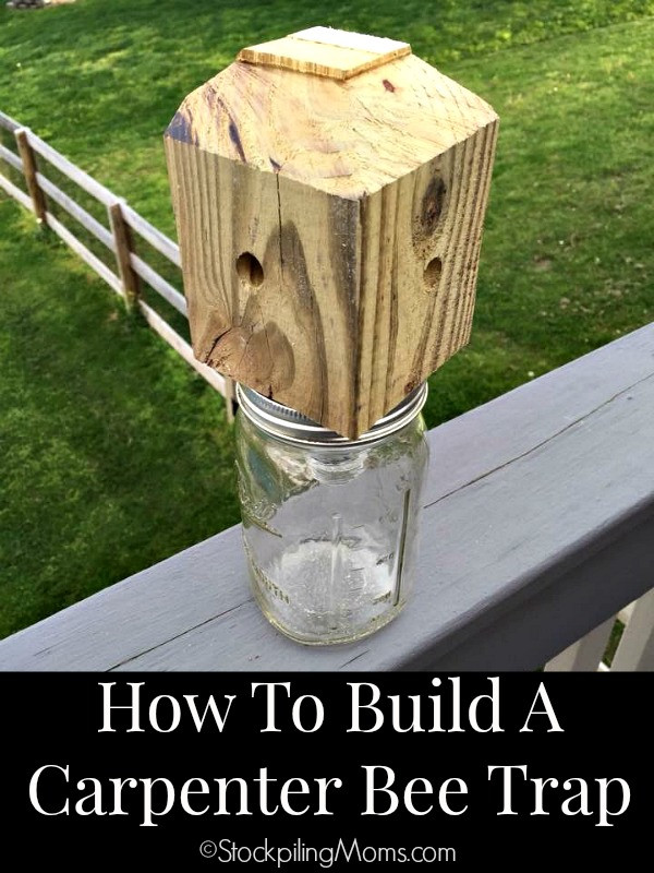 DIY Wood Bee Trap
 How To Build A Carpenter Bee Trap STOCKPILING MOMS™