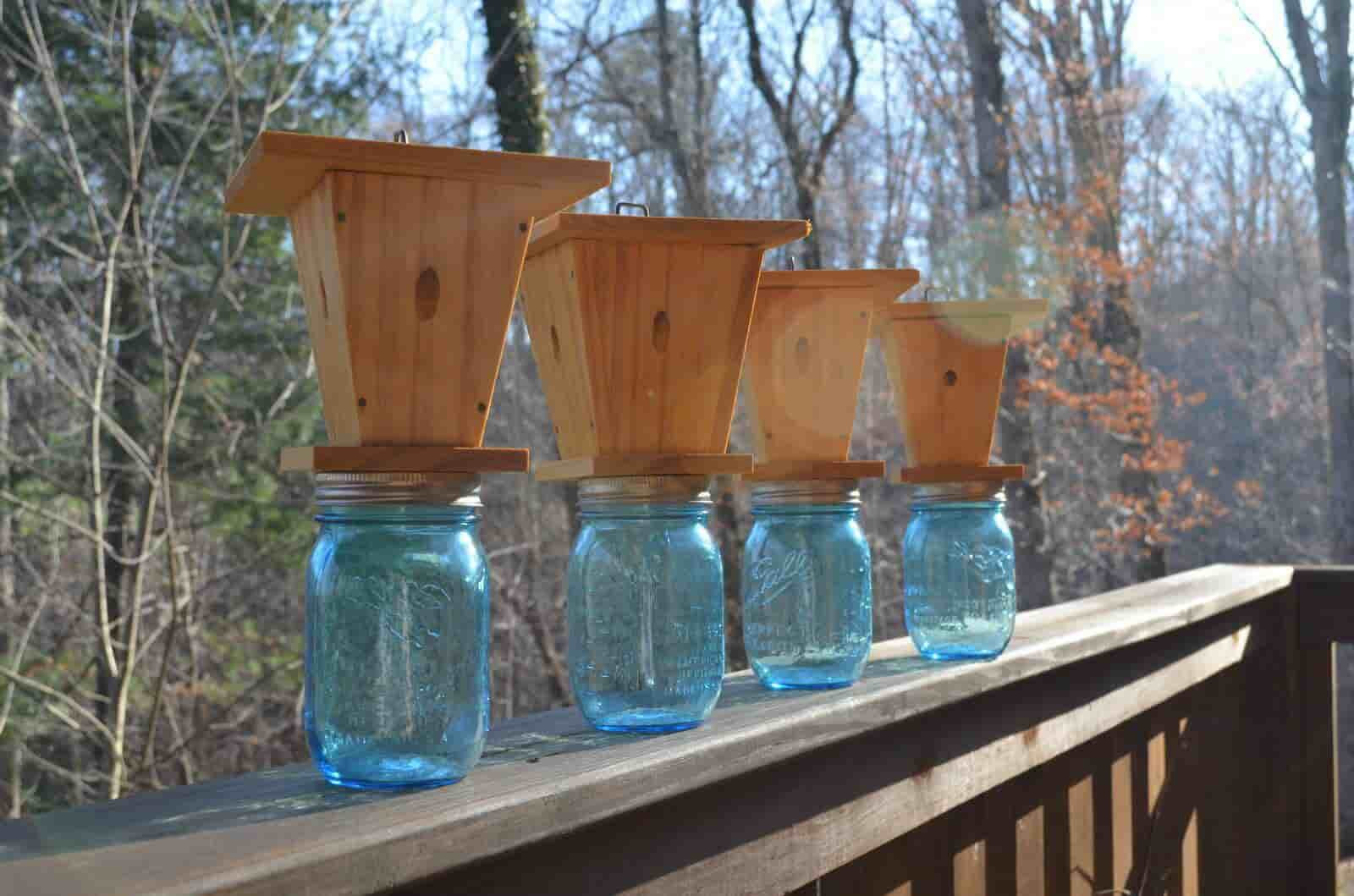 DIY Wood Bee Trap
 How to Make Carpenter Bee Trap at Home with Buying Method