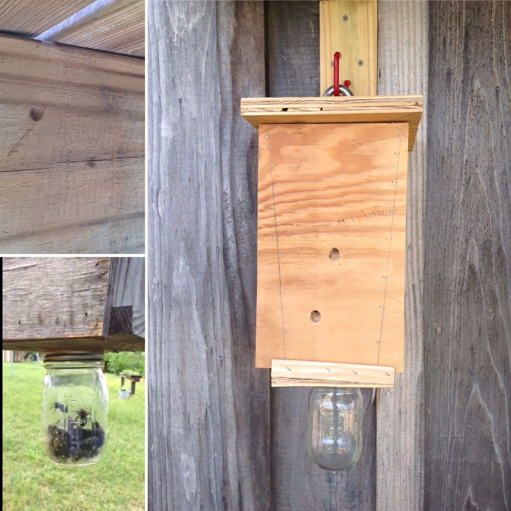 DIY Wood Bee Trap
 9 DIY Carpenter Bee Trap Plans [Free List] MyMyDIY