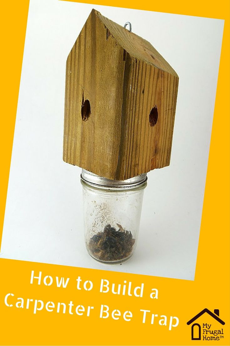 DIY Wood Bee Trap
 How to Build a Carpenter Bee Trap