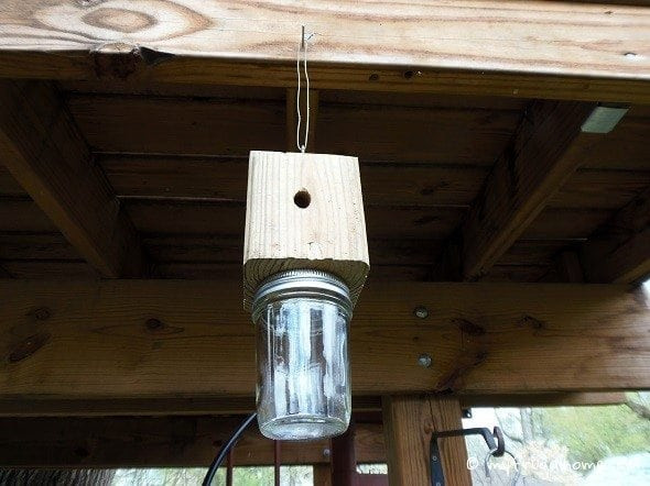 DIY Wood Bee Trap
 How to Build a Carpenter Bee Trap