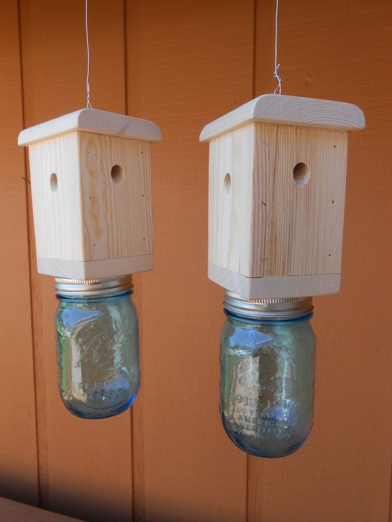 DIY Wood Bee Trap
 Wood boring bees Bee traps and Carpenter bee trap on