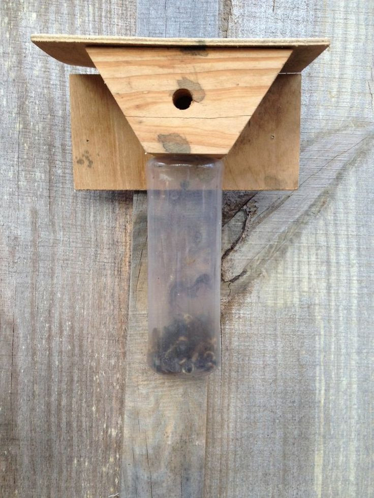 DIY Wood Bee Trap
 23 best images about wood bee trap on Pinterest