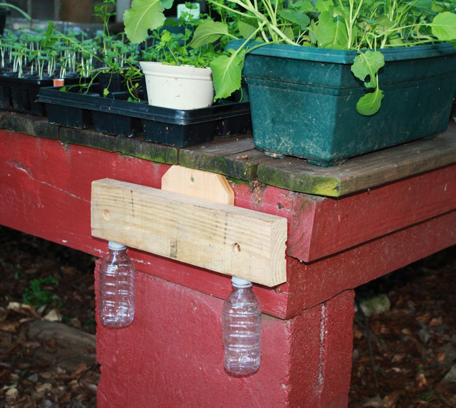 DIY Wood Bee Trap
 carpenter bees a simple DIY trap This Natural Dream