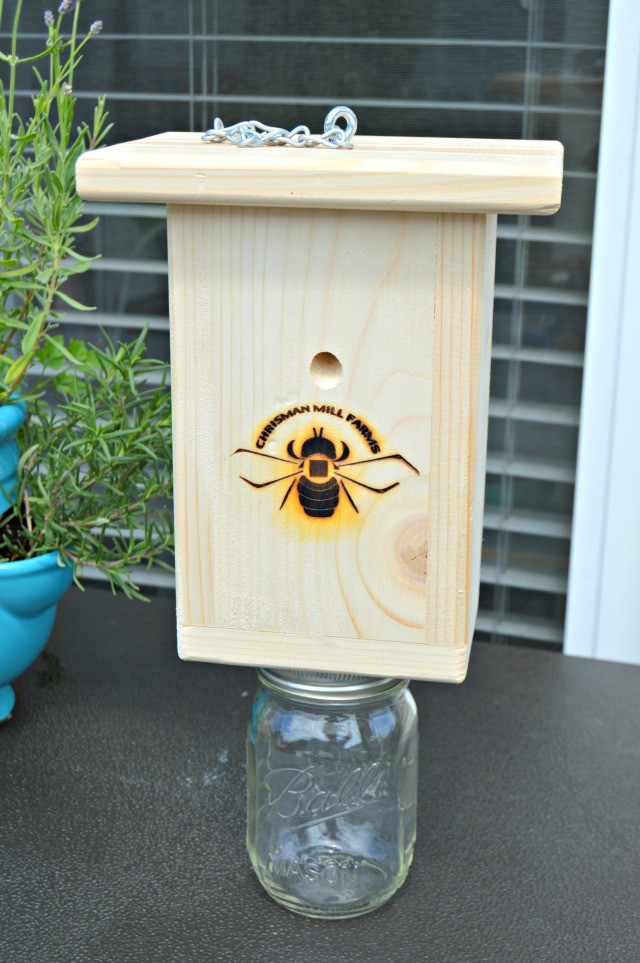 DIY Wood Bee Trap
 How To Trap and Kill Carpenter Bees and Wasps Too Mom 4 Real