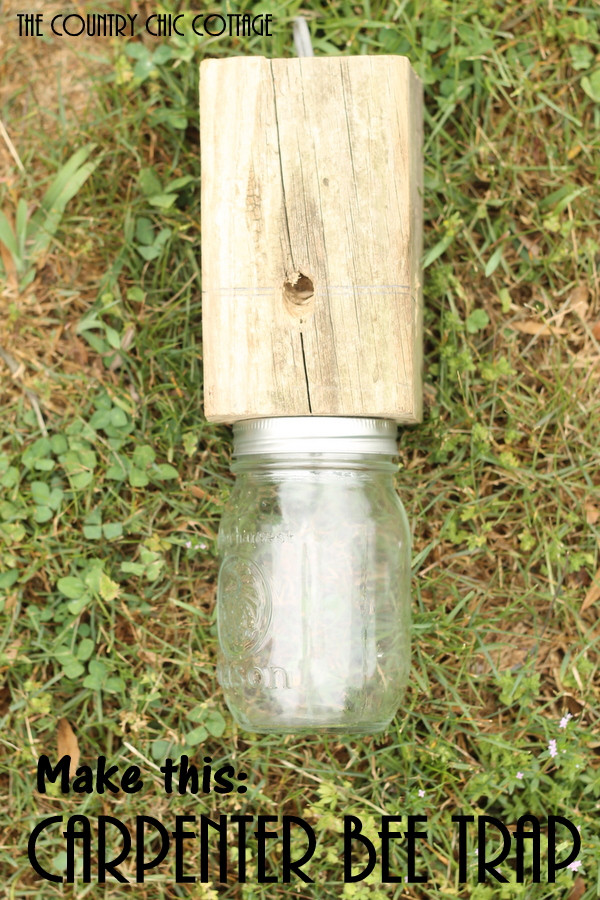 DIY Wood Bee Trap
 Make a Carpenter Bee Trap The Country Chic Cottage