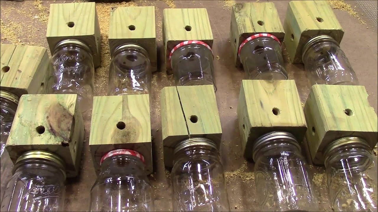 DIY Wood Bee Trap
 Homemade Carpenter Bee Trap