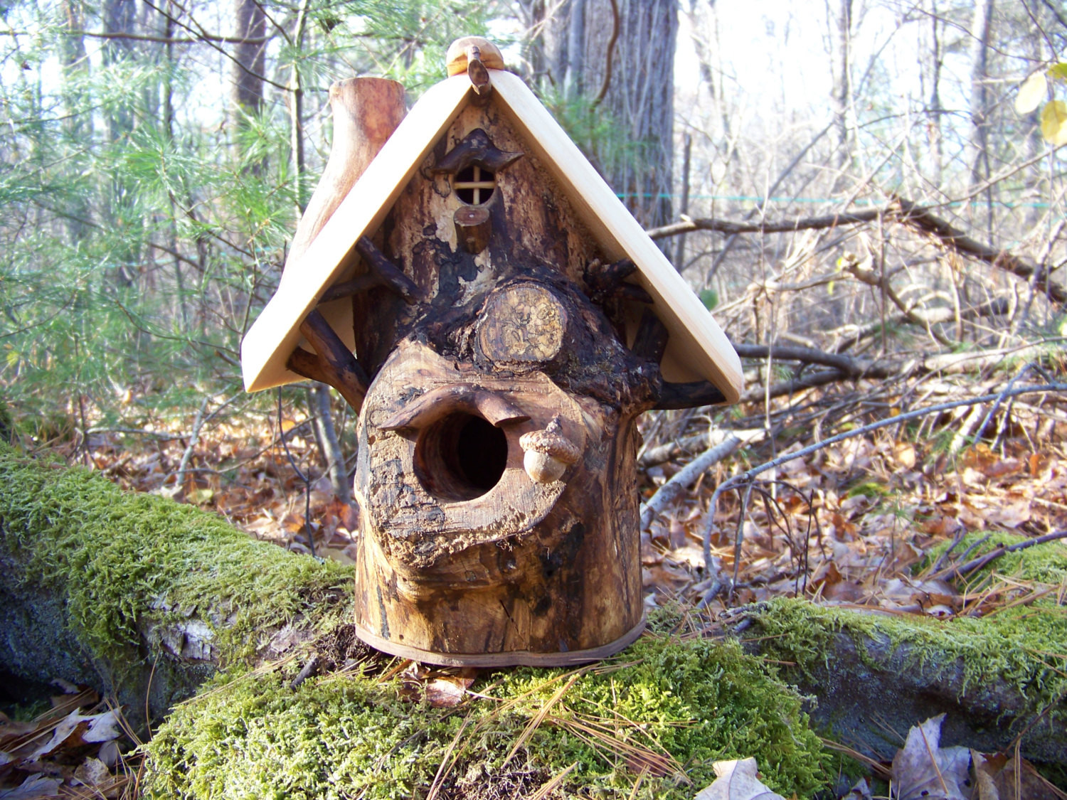 DIY Wood Bird Houses
 15 Decorative and Handmade Wooden Bird Houses Style