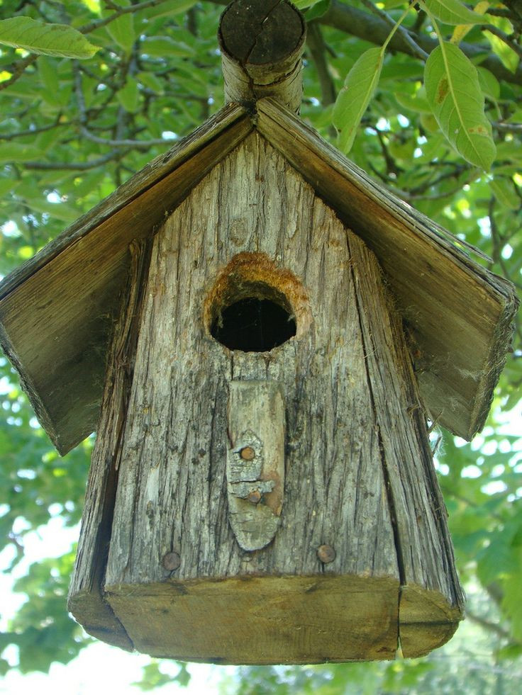 DIY Wood Bird Houses
 Homemade Wood Bird Houses WoodWorking Projects & Plans