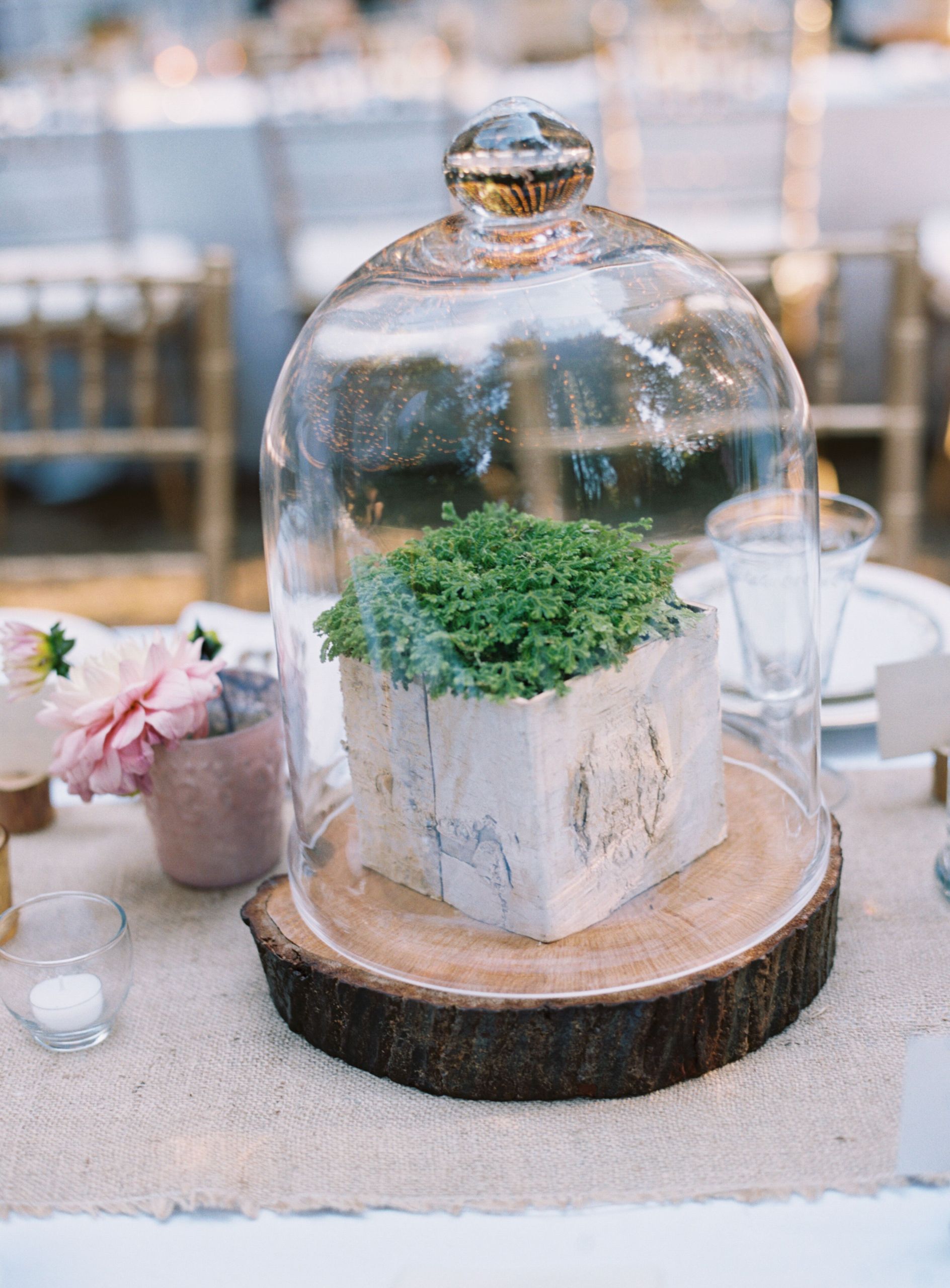 DIY Wood Slab Centerpieces
 DIY Plant Centerpiece on Wooden Slab