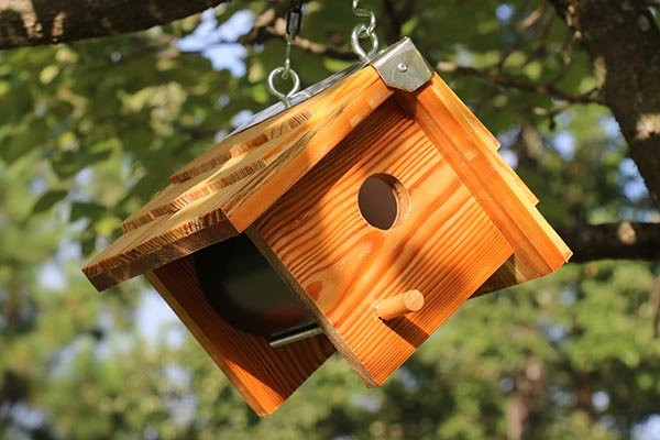 DIY Wooden Bird House
 Wooden Bird Box Easy DIY Birdhouse Plans