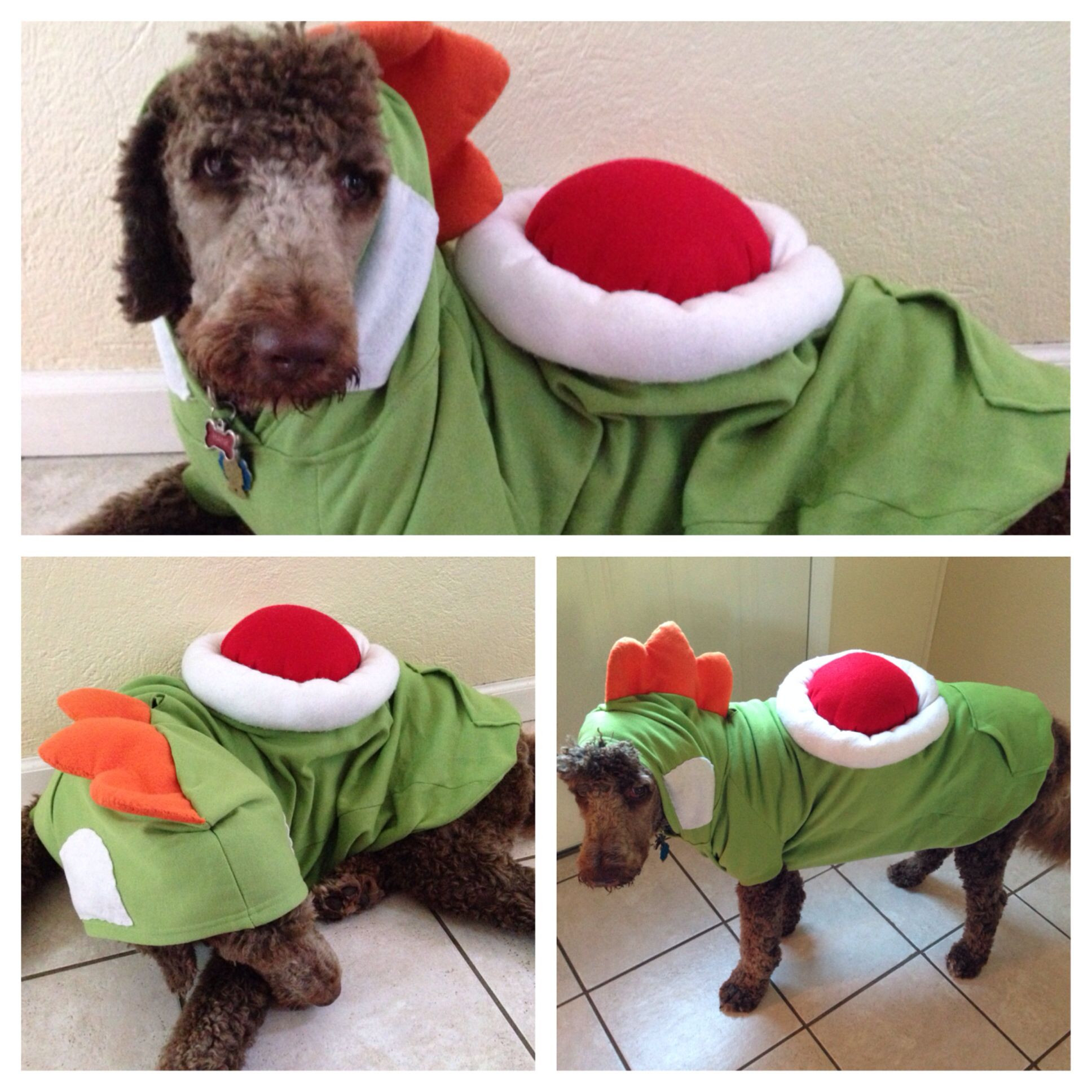 DIY Yoshi Costume
 DIY Yoshi dog costume my own photos Pinterest