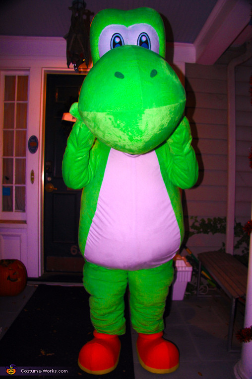 DIY Yoshi Costume
 Yoshi Costume