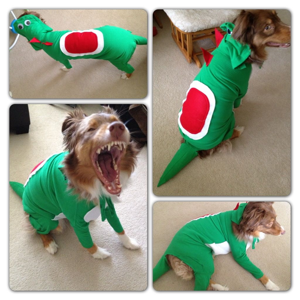 DIY Yoshi Costume
 Yoshi costume for dog Family Pinterest