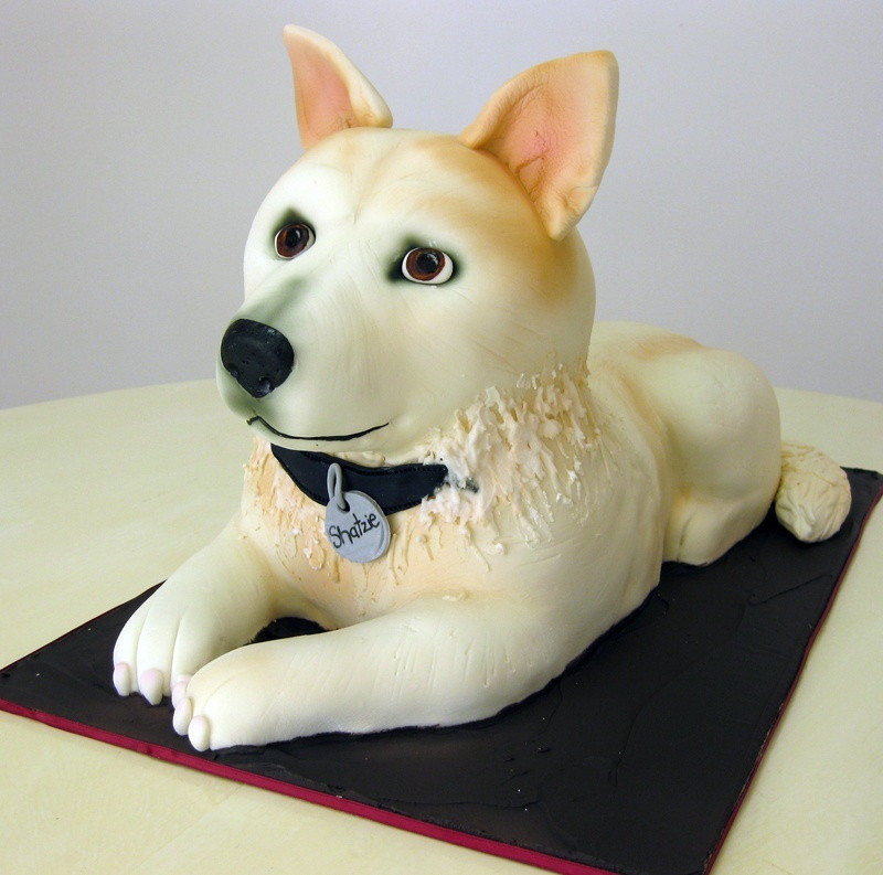 Dog Birthday Cake Ideas
 11 Dog Cakes That Are Practically Works Art BarkPost