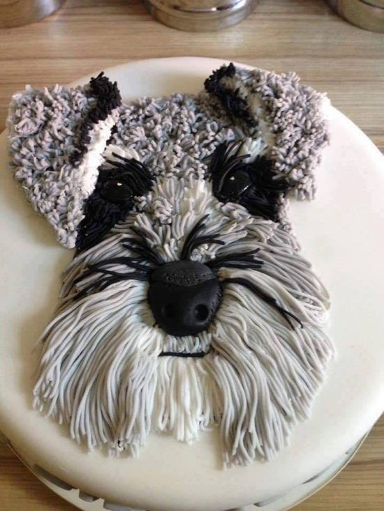 Dog Birthday Cake Ideas
 Dog Cake Ideas For Birthdays Pinterest Best Video Tutorial