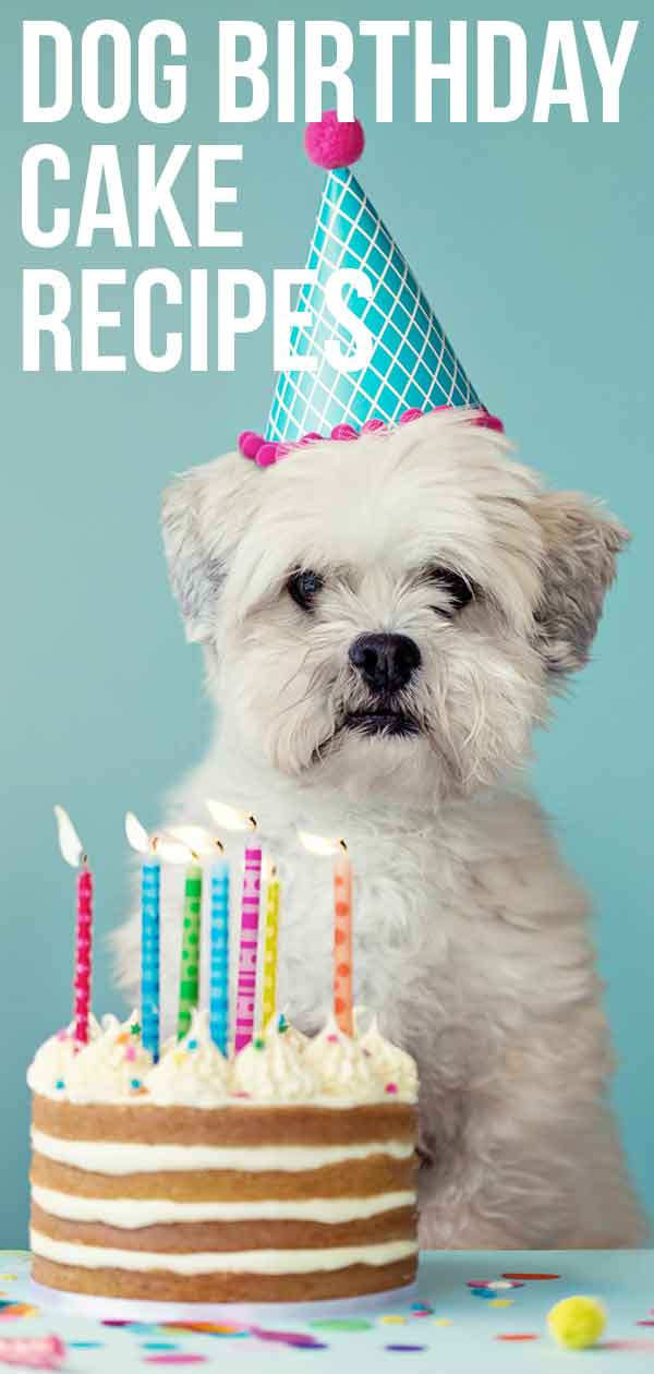 Dog Birthday Cake Ideas
 Dog Birthday Cake Recipes For Your Pup s Special Day