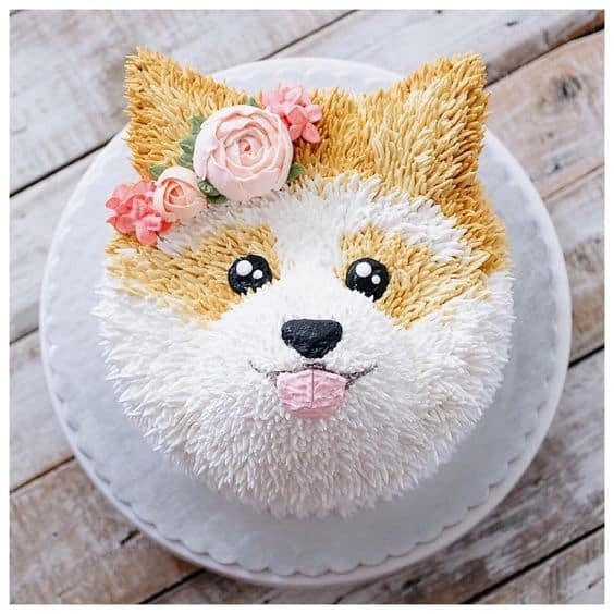 Dog Birthday Cake Ideas
 Dog Cake Ideas For Birthdays Pinterest Best Video Tutorial