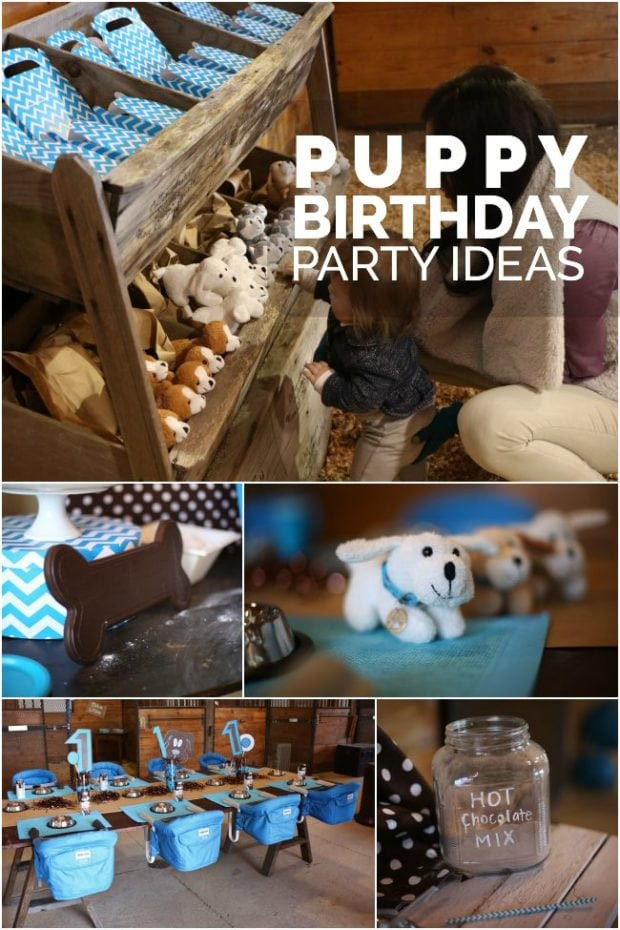 Dog Birthday Gift Ideas
 A Dog Gone Cute Boy s Puppy First Birthday Party
