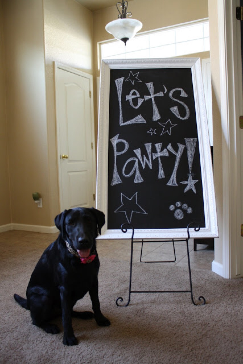 Dog Birthday Party Ideas
 5 Dog Birthday Parties Better Than Yours