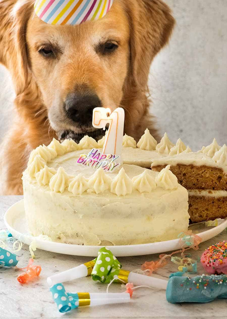 Dog Friendly Birthday Cake
 Dog Cake recipe for Dozer s birthday