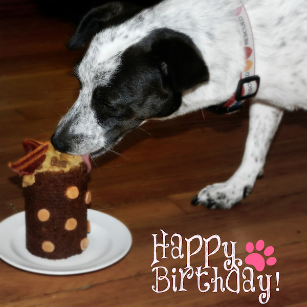 Dog Friendly Birthday Cake
 Maggie’s 3rd Birthday – Pretty Little Pastimes