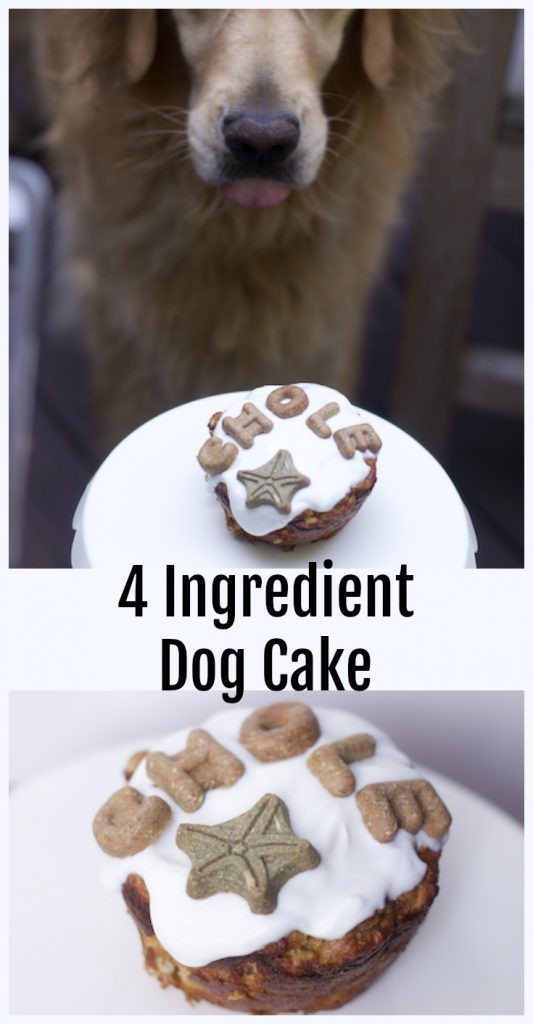 Dog Friendly Birthday Cake
 The Easiest Dog Birthday Cake Recipe for a Dog Birthday