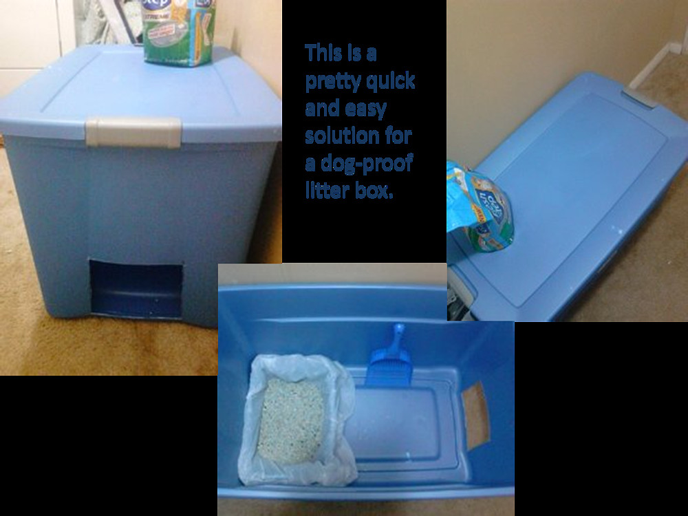 Dog Proof Litter Box DIY
 Hometalk