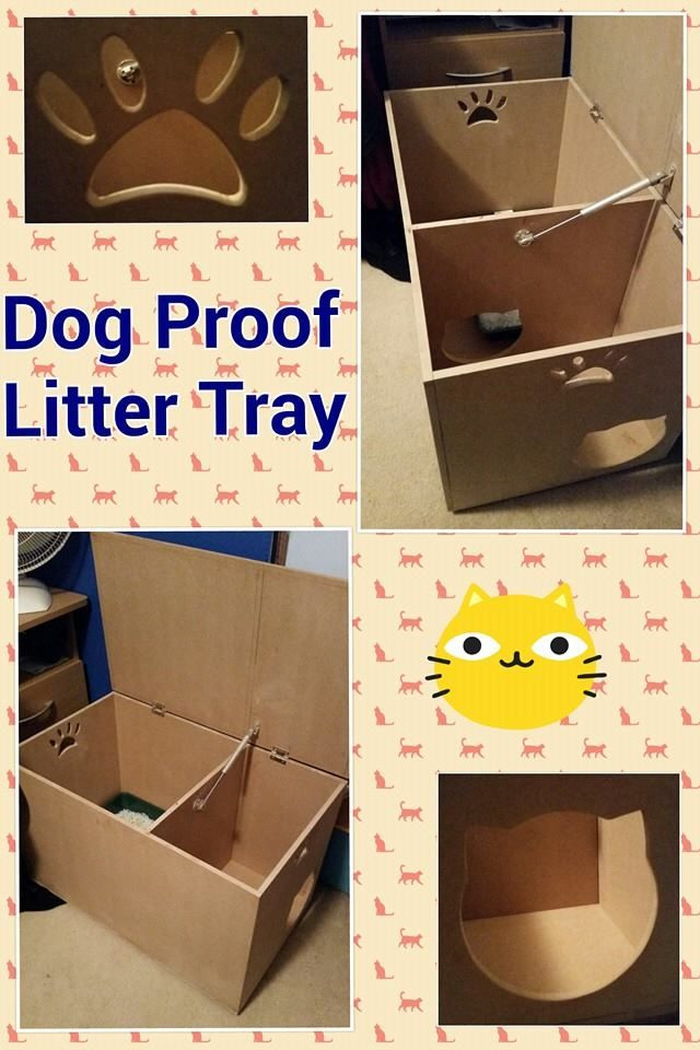 Dog Proof Litter Box DIY
 Dog Proof Litter Box Hides Litter Tray Reduced Smell