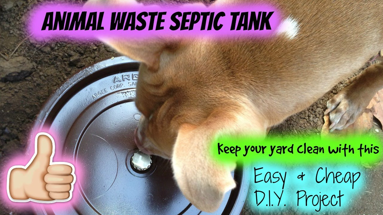 Dog Septic System DIY
 DIY Dog Septic Tank