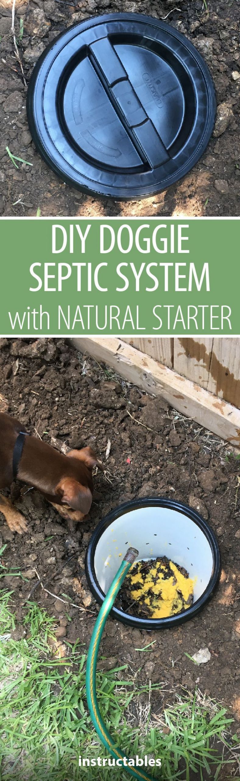 Dog Septic System DIY
 DIY Doggie Septic System With Natural Starter