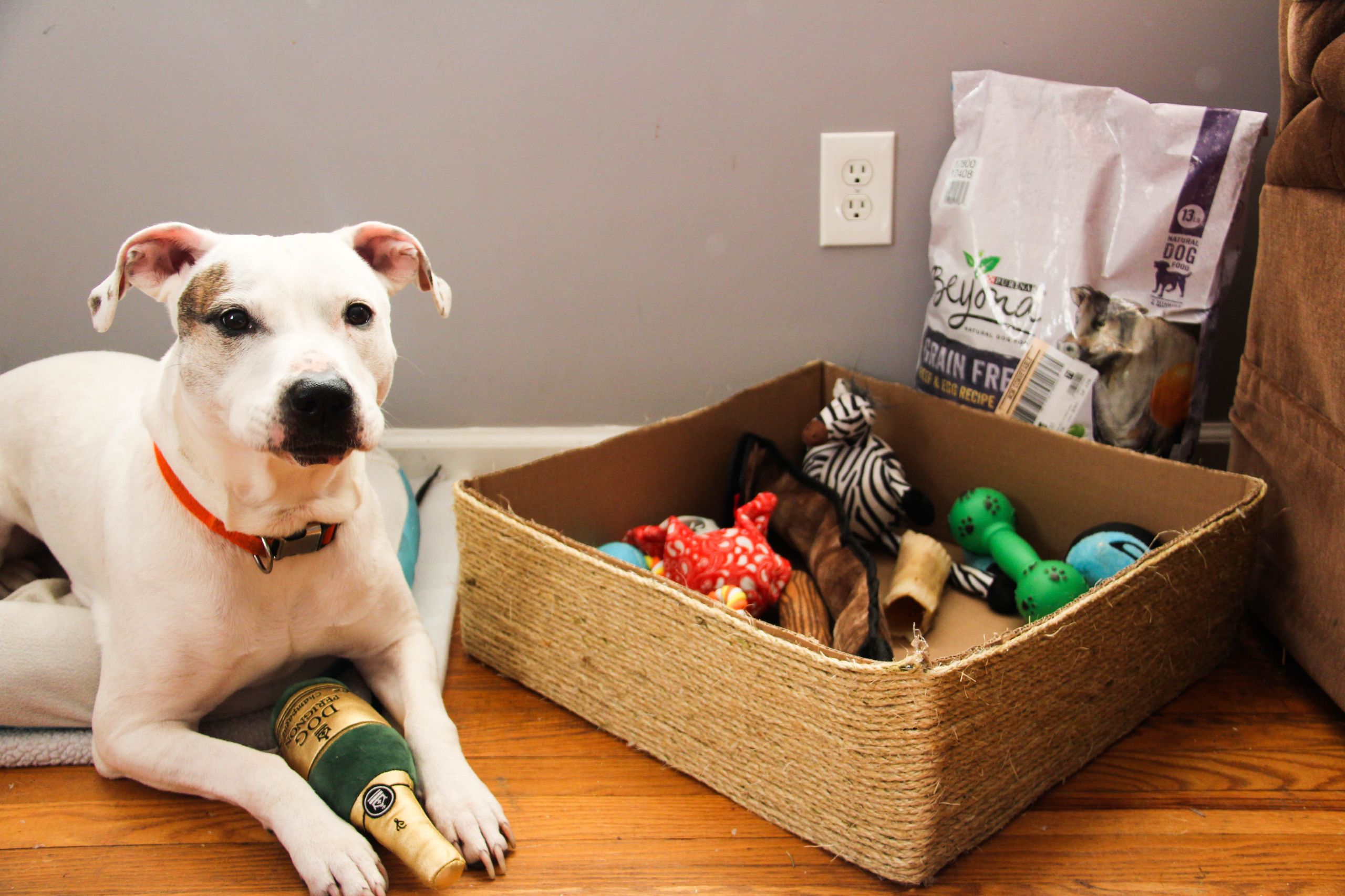 Dog Toy Box DIY
 Dog Toy Box DIY Dog toy bin simple and easy to make