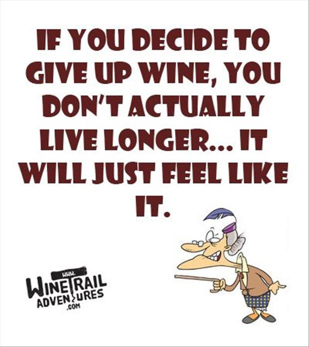 Drinks Funny Quotes
 Funny Quotes About Alcohol QuotesGram