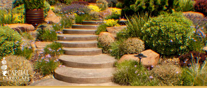 Drought Tolerant Landscape Design
 Drought Tolerant Landscape Design Sacramento