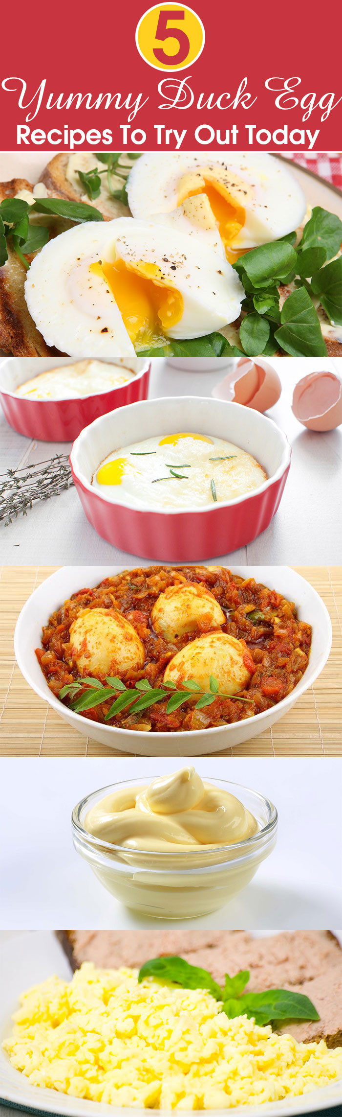 Duck Egg Recipes
 5 Yummy Duck Egg Recipes To Try Out Today