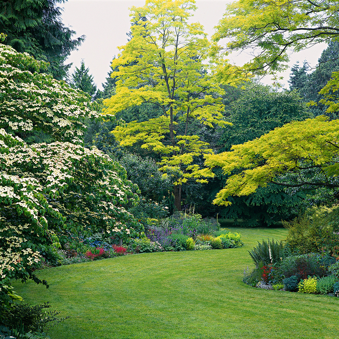 Easy Backyard Landscaping Ideas
 Easy Landscaping Ideas You Can Try