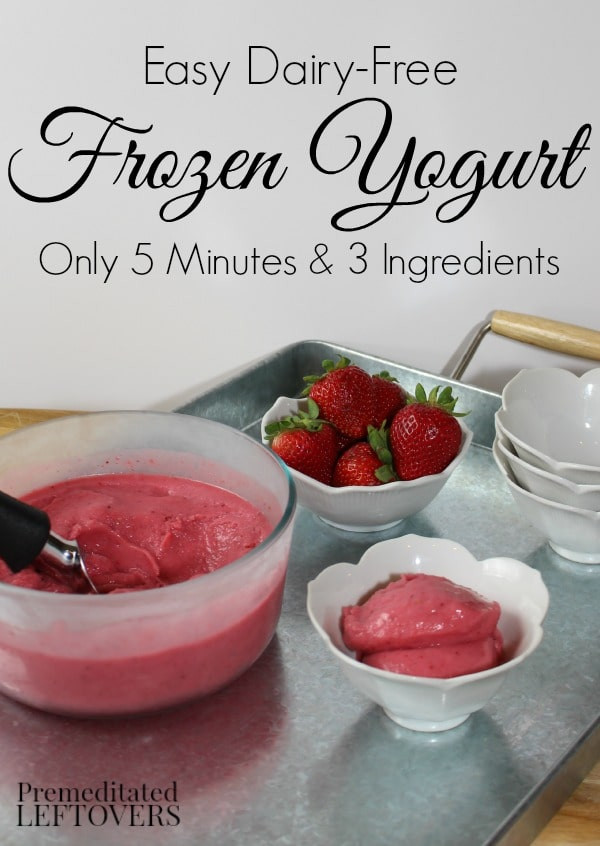 Easy Dairy Free Recipes
 Quick and Easy Dairy Free Frozen Yogurt Recipe