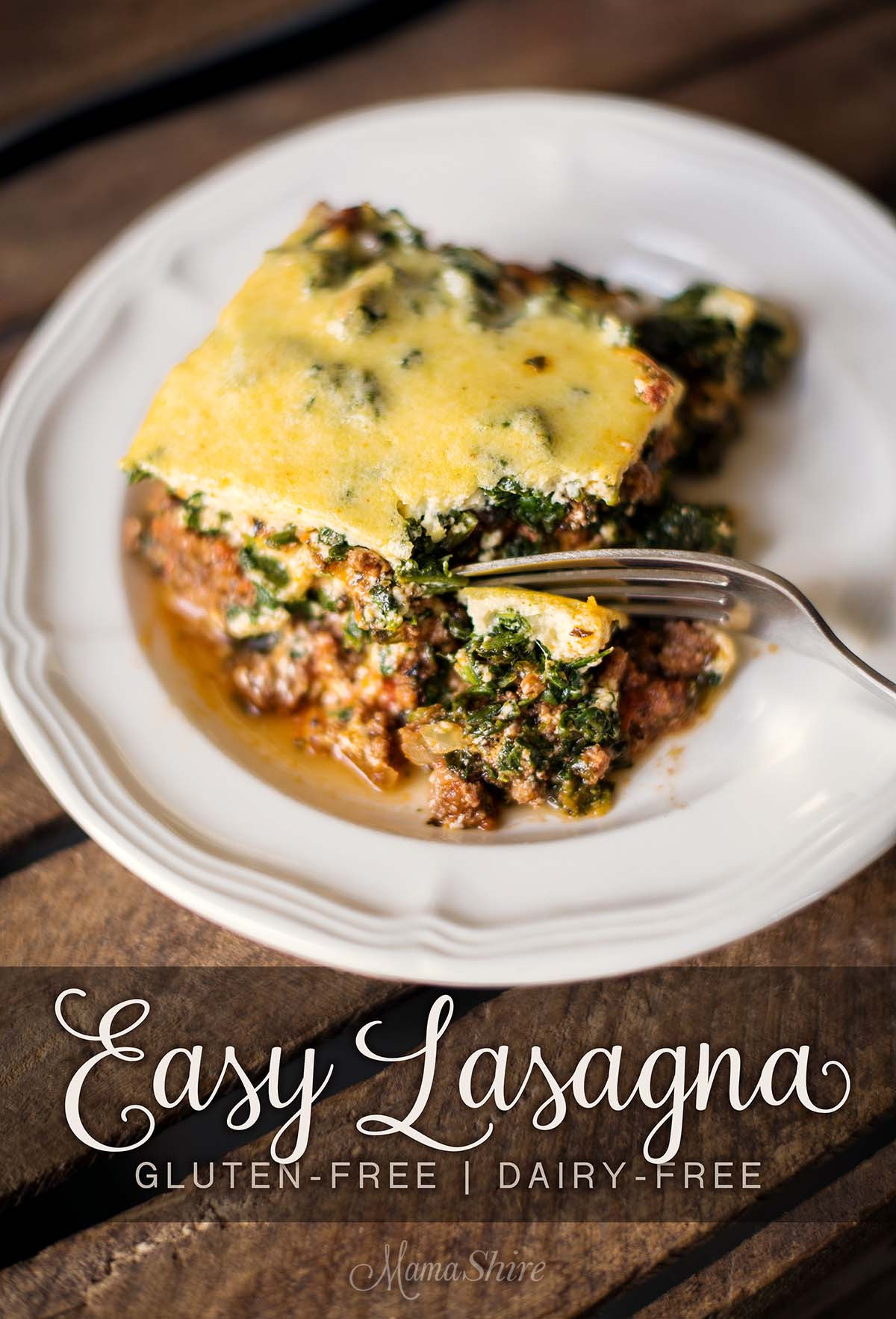 Easy Dairy Free Recipes
 Easy Lasagna Gluten Free & Dairy Free MamaShireMamaShire