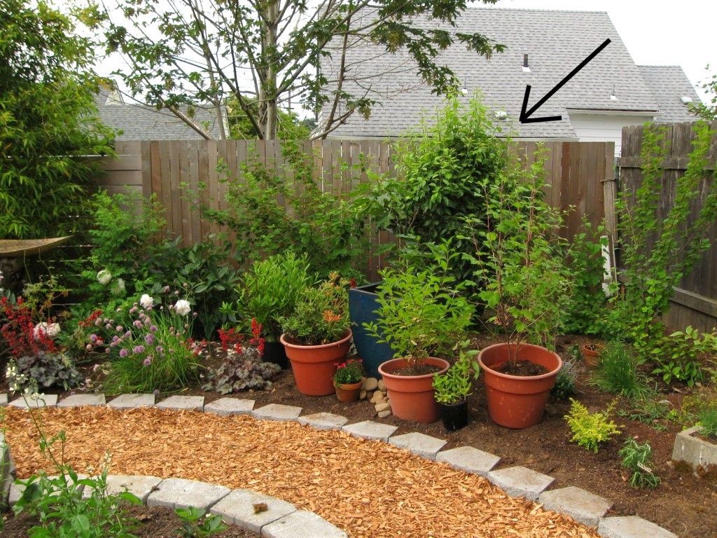 Easy Outdoor Landscape
 Simple Garden Ideas Easy Small Backyard Landscaping Ideas