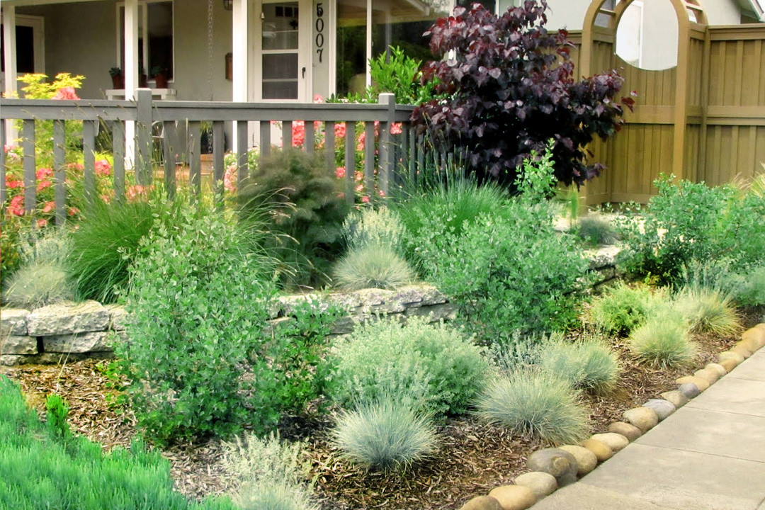 Easy Outdoor Landscape
 Easy Landscaping Easy Maintenance Landscaping