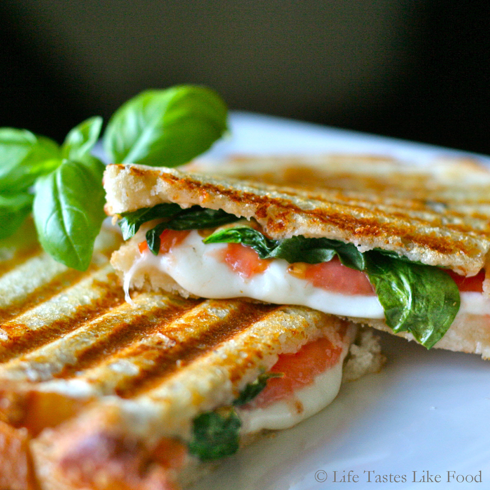 Easy Panini Recipe
 Easy Healthy Recipe Italian Panini