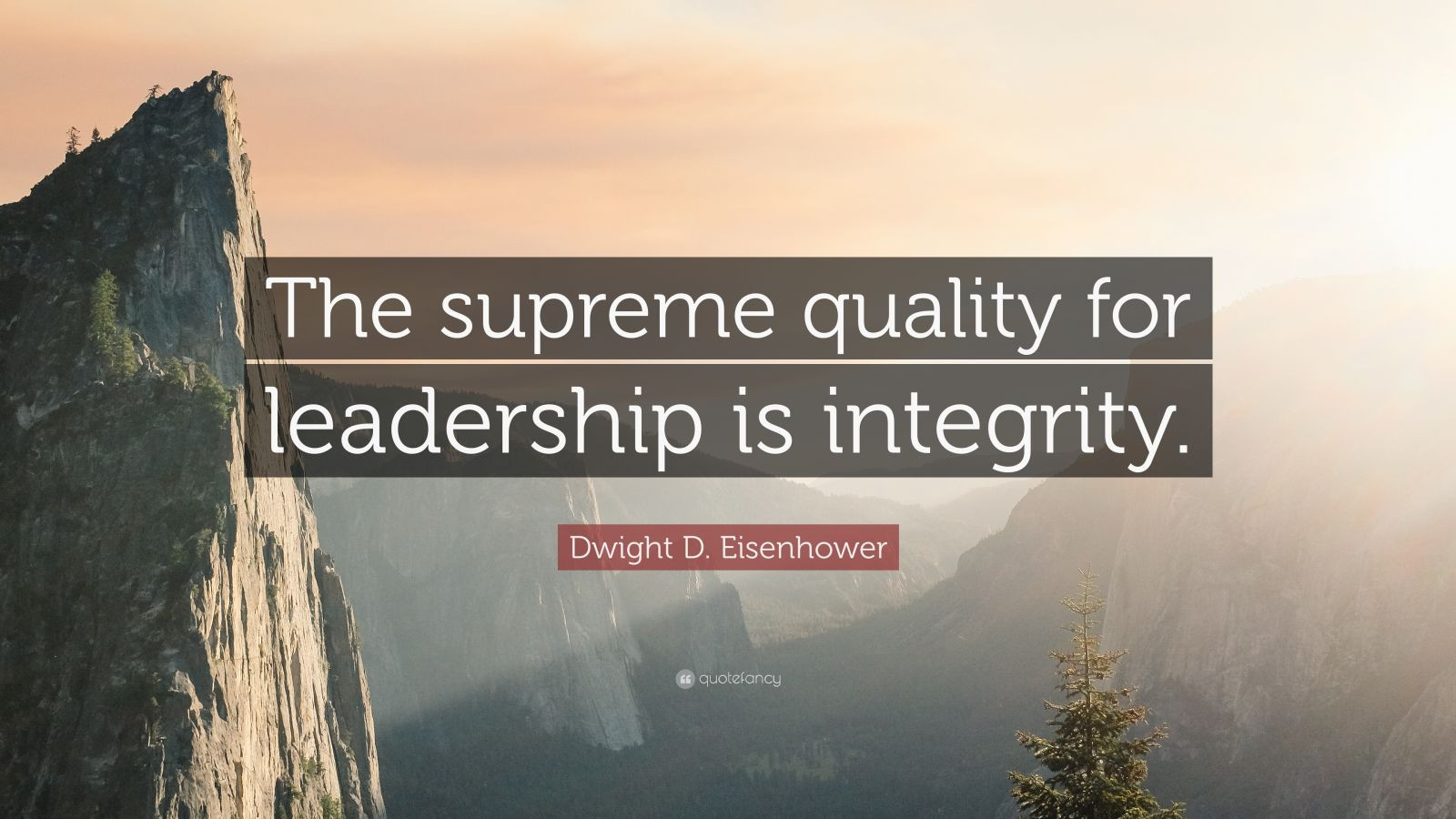 Eisenhower Leadership Quote
 Dwight D Eisenhower Quote “The supreme quality for