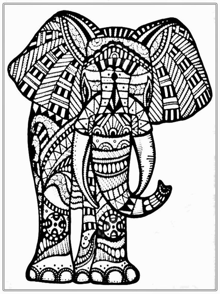 Elephant Adult Coloring Pages
 19 best images about Adult coloring Elephants on