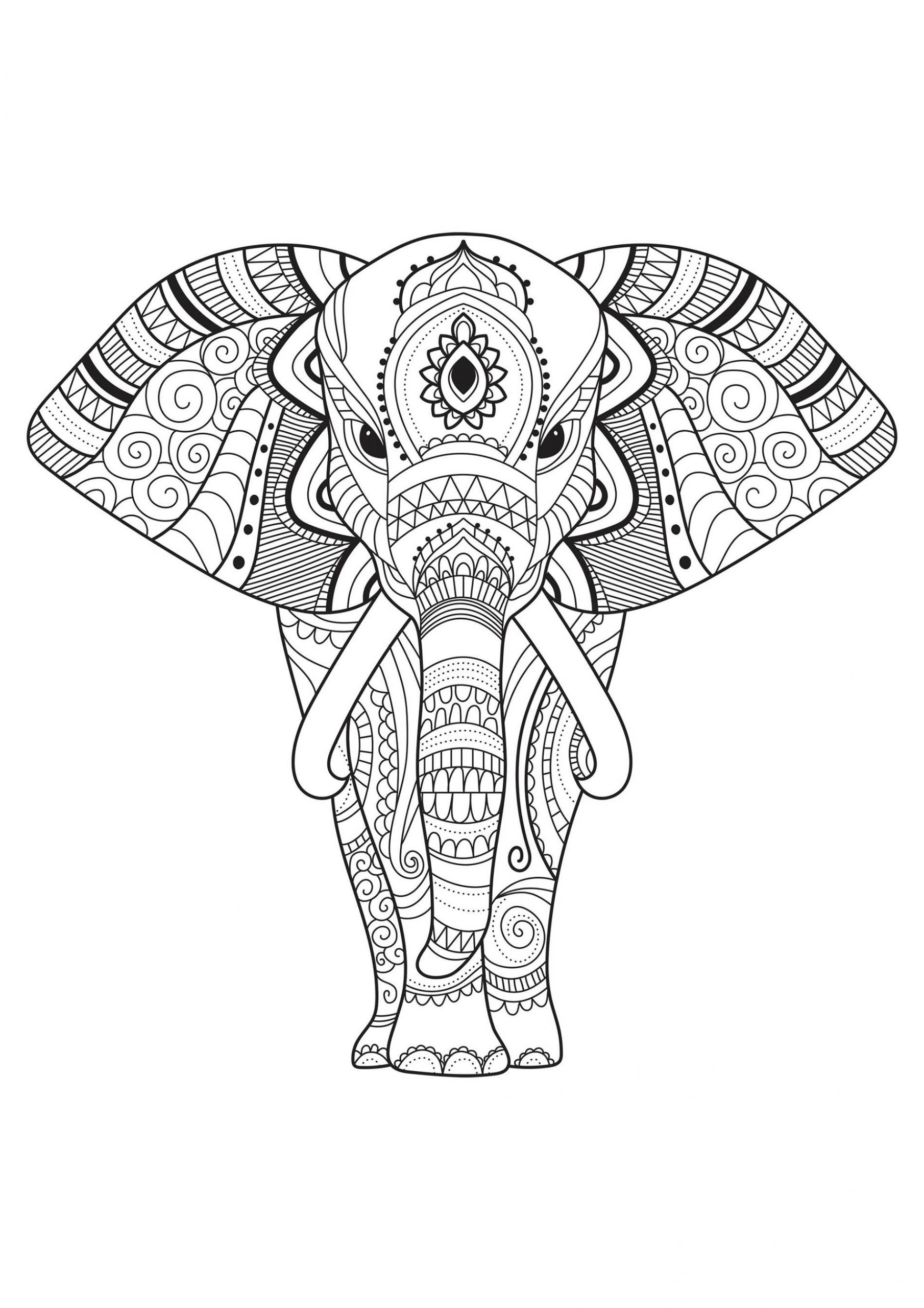 Elephant Adult Coloring Pages
 Elephants to color for children Elephants Kids Coloring