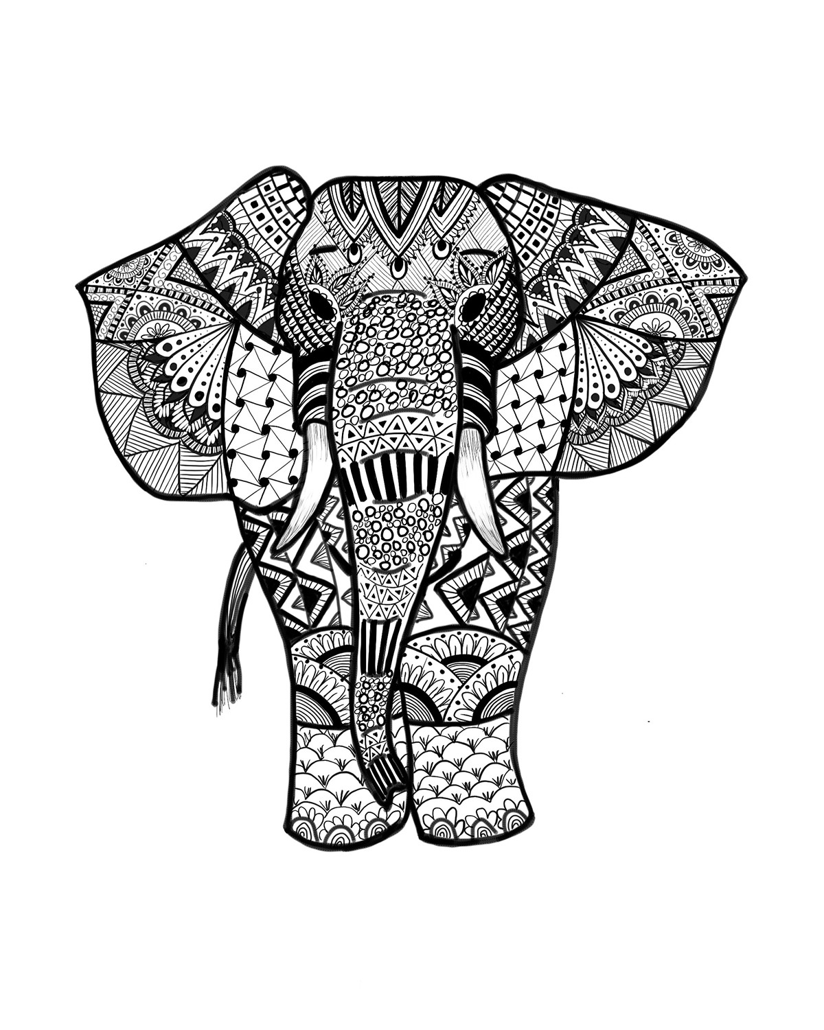 Elephant Adult Coloring Pages
 Elephant Coloring Pages for Adults Best Coloring Pages