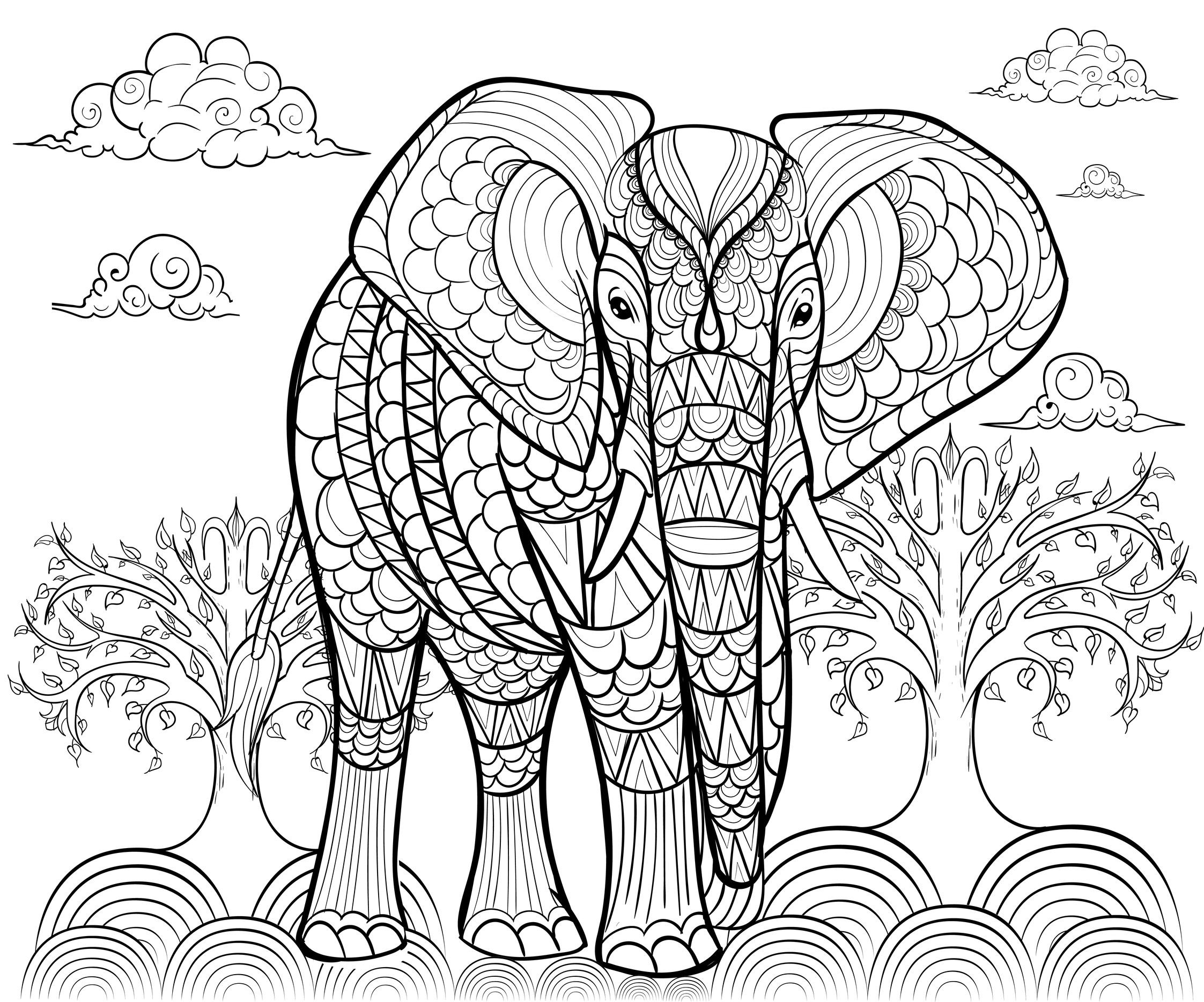 Elephant Adult Coloring Pages
 Elephant Coloring Pages for Adults Best Coloring Pages